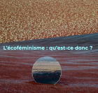 202012BallastDossierEcofeminisme_ballast-ecofeminisme.png
