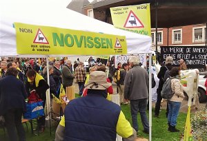 image NovissenBanderol.jpg (0.3MB)