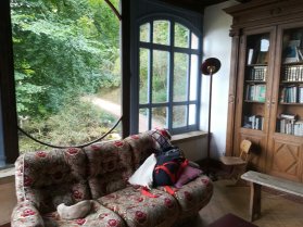 image biblio_fenetre_.jpg (0.7MB)