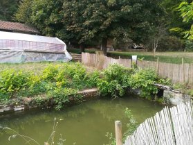 image source_cote_champs1_.jpg (1.2MB)