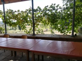 image terrasse1_.jpg (1.1MB)